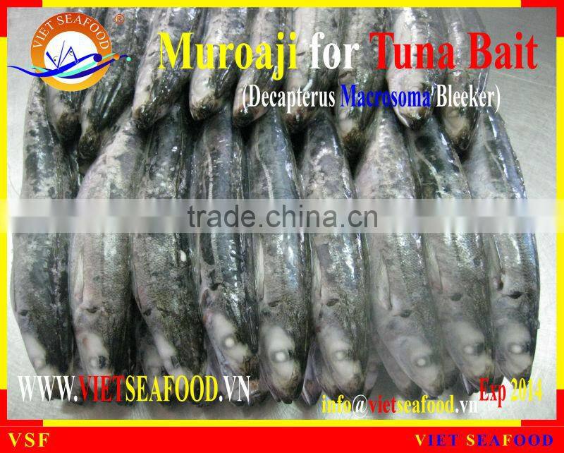 FROZEN W/R MUROAJI FOR TUNA BAIT