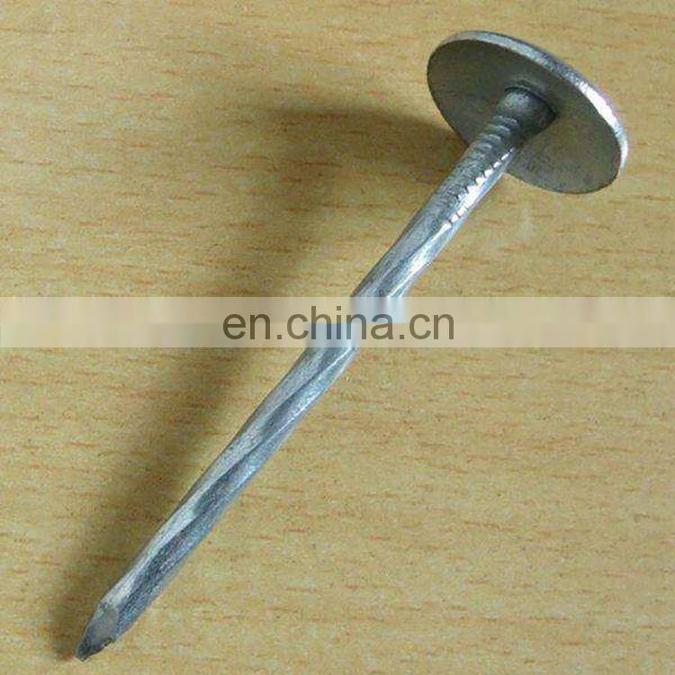 Good quality galvanized china corrugated roofing nails