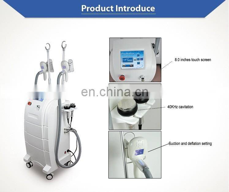4 Treatment Head Cryolipolysis Vacuum Fat Freezing Machine Body Contouring Non Invasive Treatment Beauty Product