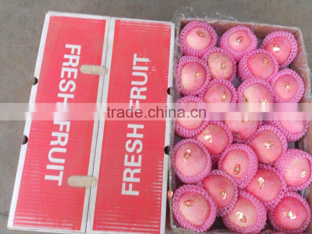 Best price bulk Yantai red Fuji apple fruit