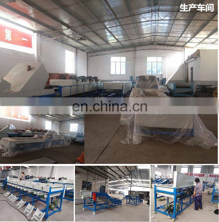 Production Line for cleaning and Air-drying Sorting of fruits and vegetables