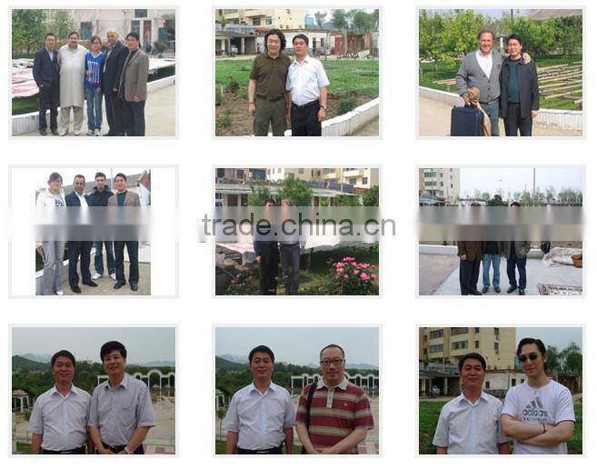 hot sale Double knots 4'x6' Hand made hand-knotted cotton rag rug