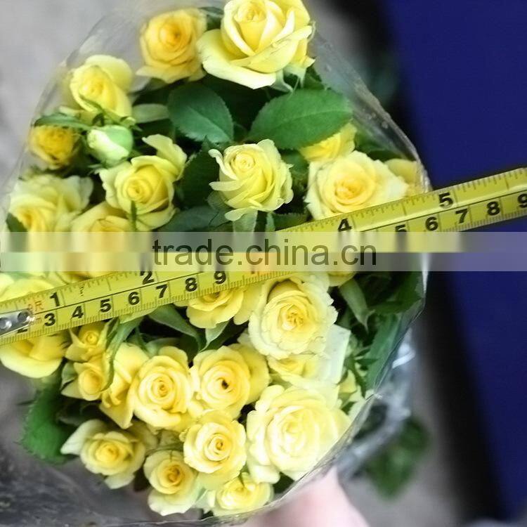 Durable sprayed rose gold rose valentines gift