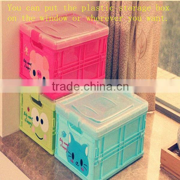Hot Sale Plastic Storage Box & Packing Box & Plastic Box