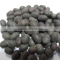 DRIED BLACK LOTUS SEED BEST QUALITY_SPECIAL PRICE