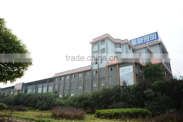 LED petrol lamps led lighting 100w with CE&RoHS singbee SP-2105A