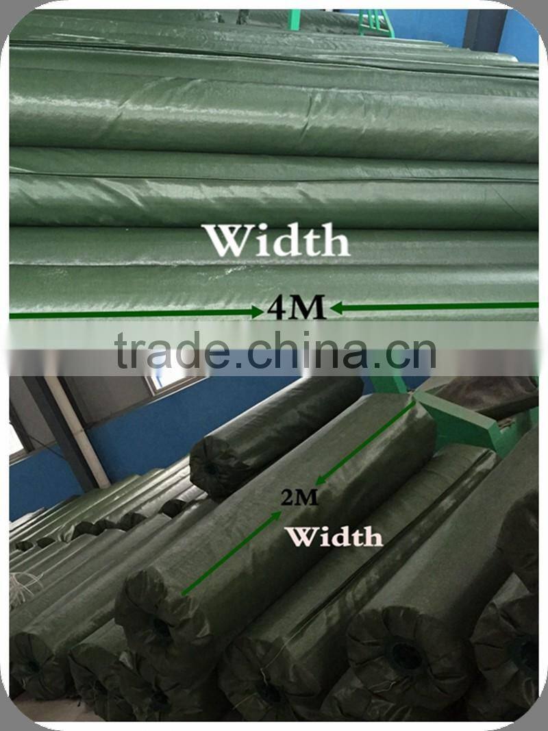 Green synthetic grass for football with best price