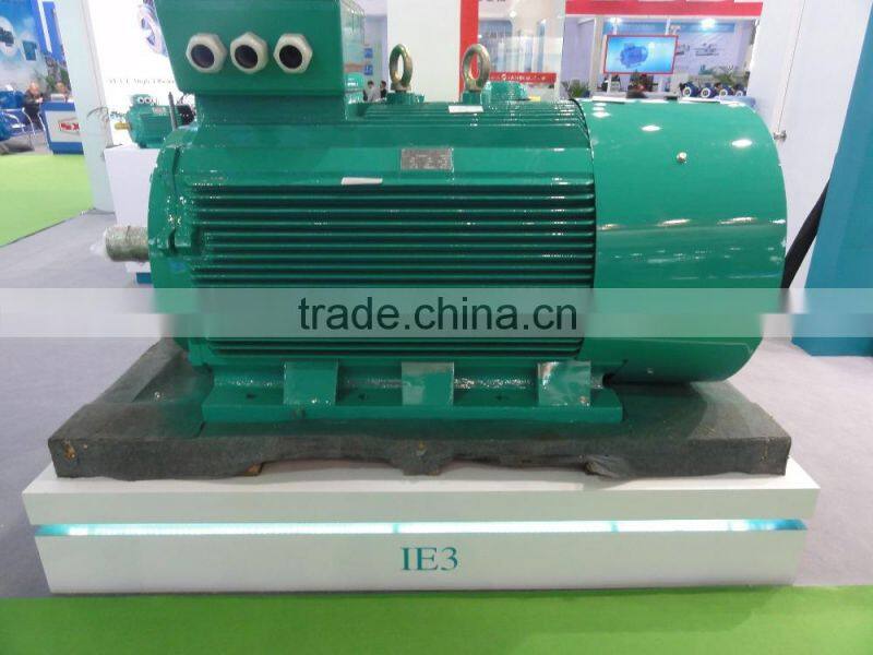 YE3 Three Phase High Efficiency Motor