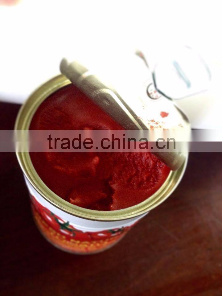 healthy high quality canned tomato paste