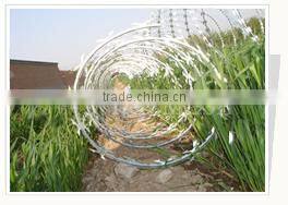 iso9001 galvanized and pvc razor barbed wire