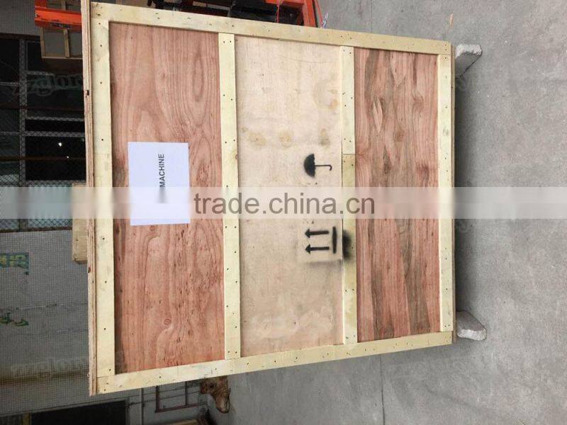 CE Approved Multi-Function Automatic Ice Cream Packaging Machine/ Popsicle Packing Machine/ Lolly Packing Machine