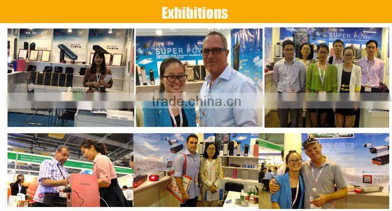 12V 300Ah lithium iron phosphate motorcycle batteries