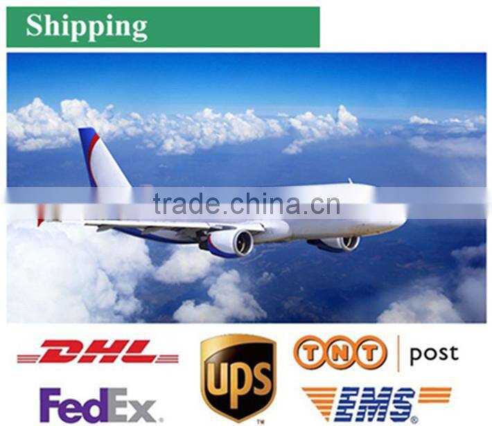 European style 316L stainless steel women earrings