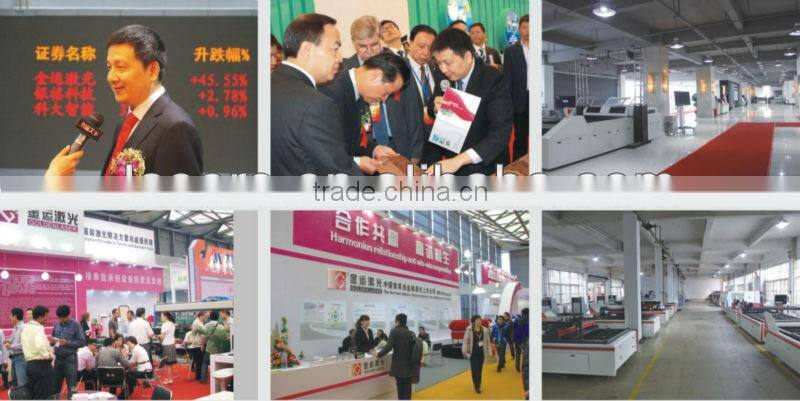 Fiber Lazer Cutter Sheet Metal/CNC Laser Cutting Device