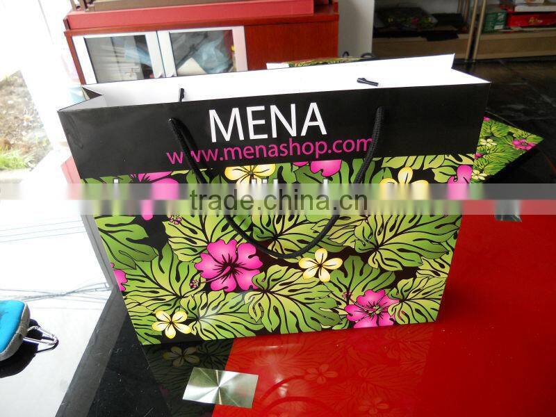 2013 New Luxury Paper Shopping Bag