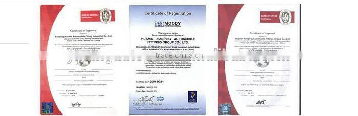 1002210-E10 Cranksharf Oil Seal for Great Wall, rear oil seal