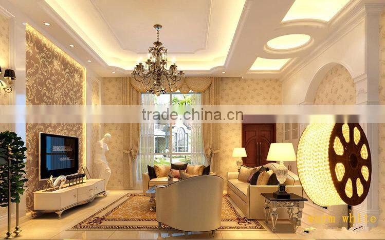 IP68 SMD5050/SMD3528 RGB Christmas led flexible rope light for Decoration