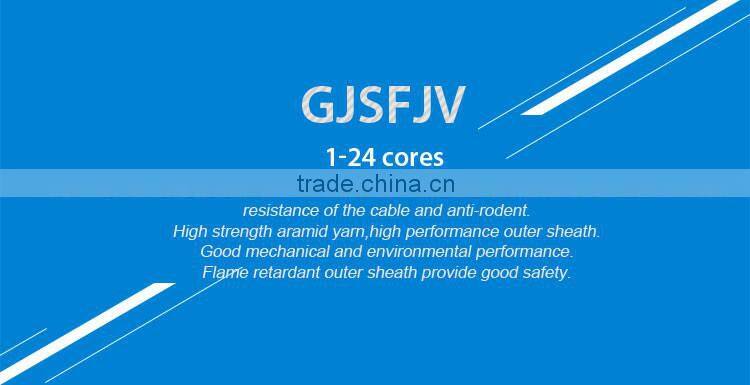 Hot Sell Fiber Core Custom Gjsfjv G657 Fiber Optic Cable