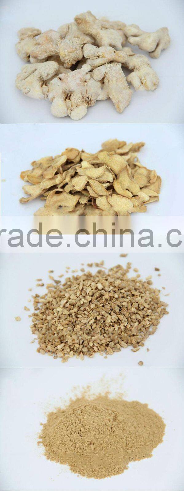 Wholesales freeze dried instant honey garlic export tea company