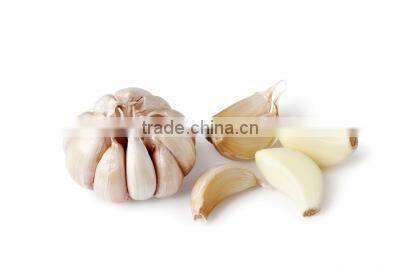 New Style Automatic Electric Normal Garlic Shallot Skin Removing Peeler Peeling Machine