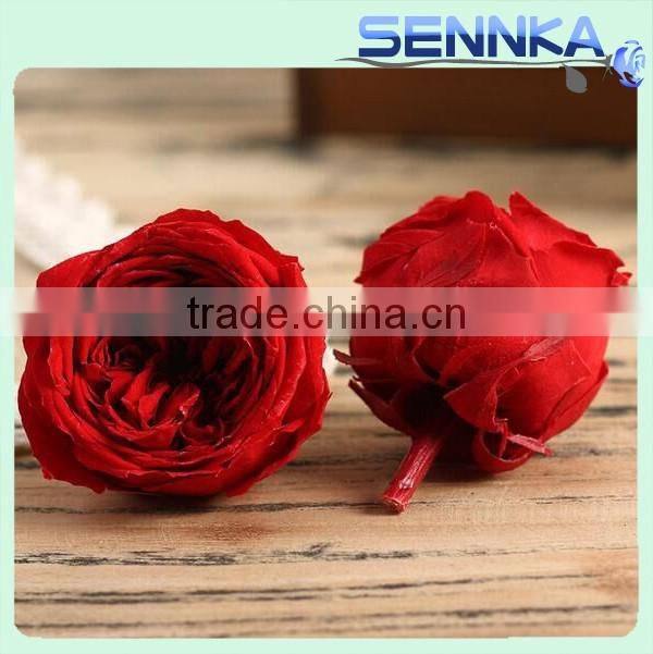 Wholesale fresh preserved big Austin rose head big preserved flower