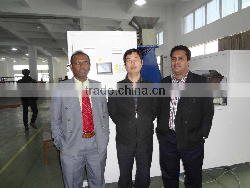 China supply,newest software, factory supply directly,color sorting machine intelligent