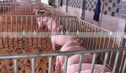 CE approval chicken/pig/rabbit feed production line//0086-15838061756