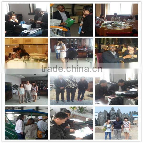 Pigeons Cages 3 tier ISO 9001