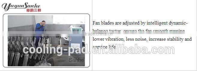 Dairy farming cows fan