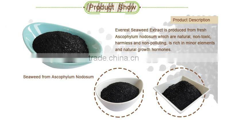 Environment friendly cost effective organic soil soluble seaweed