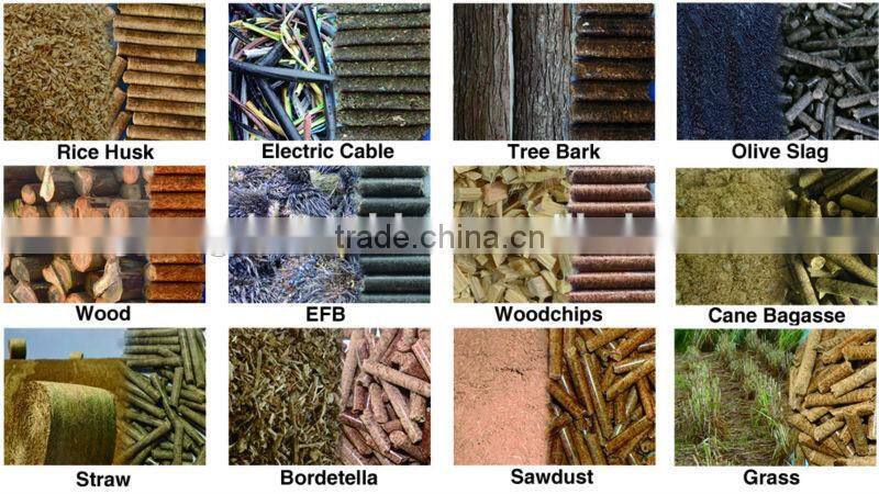 Flat die small sawdust pelletizer price