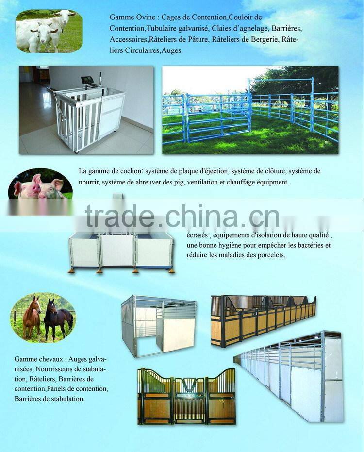 galvanized pipe horse fence panels