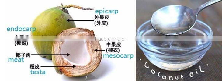 10-20TPD high oil yield copra oil press machinery for VCO