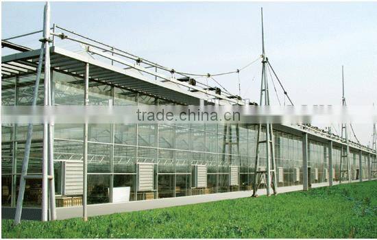 high quality giant greenhouse,flower,plant house/large inflatable membrane structures