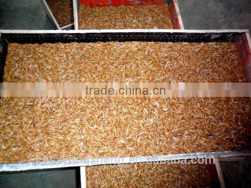 Dried Mealworms For Reptiles Pet Food