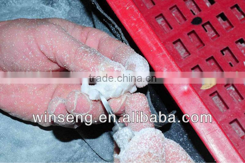 New Design Ceramic Cute Southwest Airplane-shpaed Money Box WS28-14201