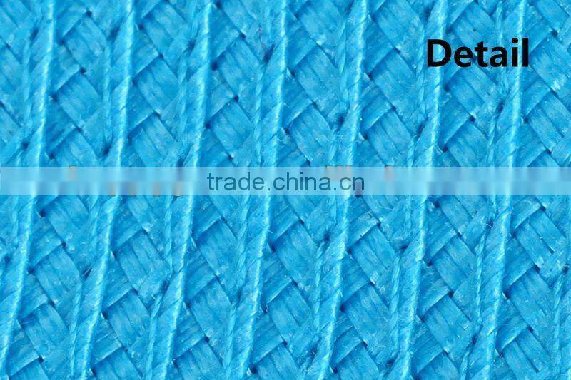 blue pp round placemat/tablemats for dinner sets/plastic placemats