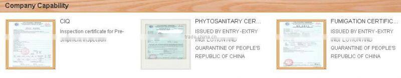 good quality of wooden broom handle with eucalypt wood