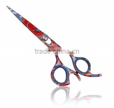Professional Hairdressing Scissors