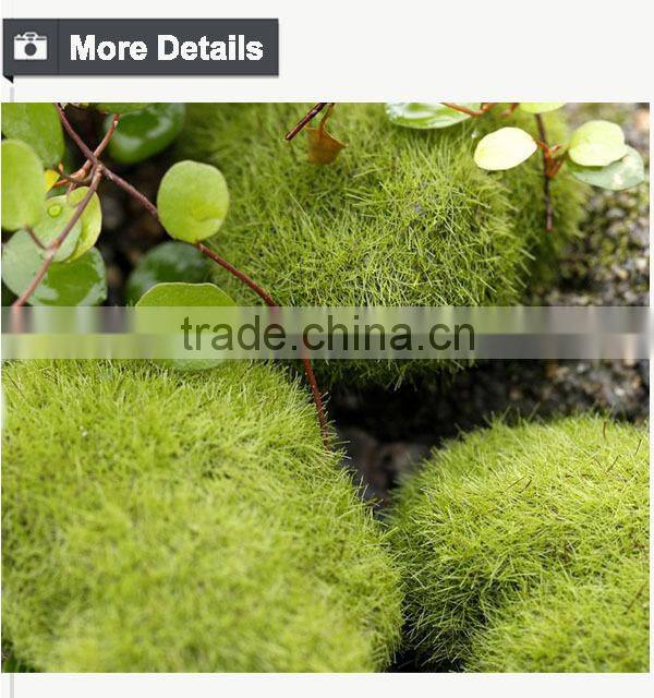 Home and garden wall rock decoration buy direct from china manufacturer