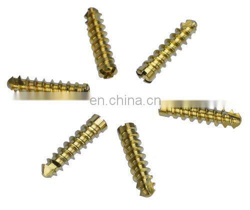 Hot Sale Bone Surgery Instruments Titanium 2.4mm Locking Screws Maxillofacial Locking Plates Orthopedic Surgical Implants
