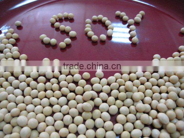 yellow soybean (organic type and non-gmo type)