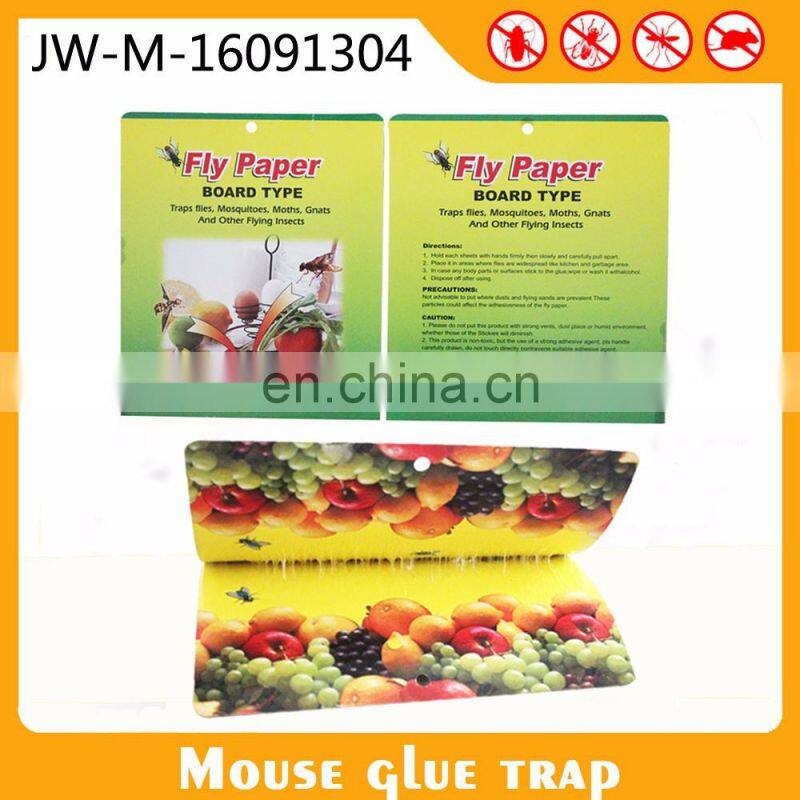 Pest Control Equipment Window Sticker Fruit Fly Glue Traps