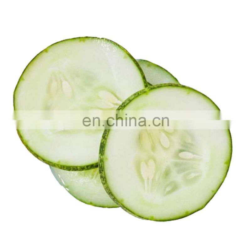 Health Food Supplement Baked AD Fruit Part Slices/Flakes Organic Vegetables Dehydrated Dried Cucumber
