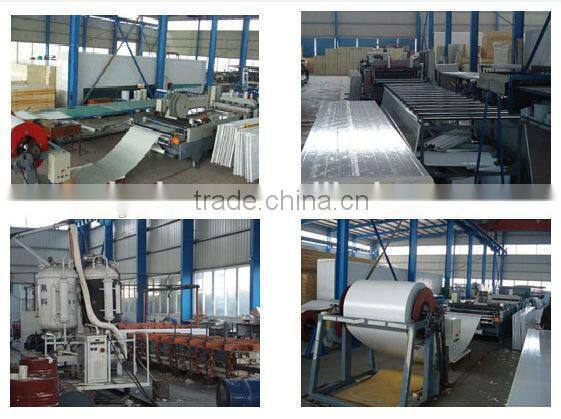 China hinged door for cold room,hinged door manufacture