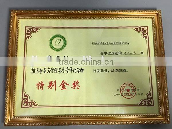 newest spring healthy factory best green tea