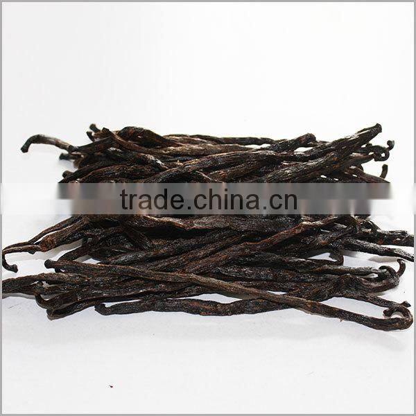 vanilla beans suppliers