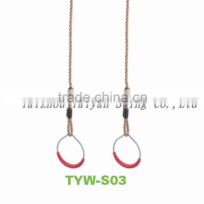 Metal Gymrings with Rope