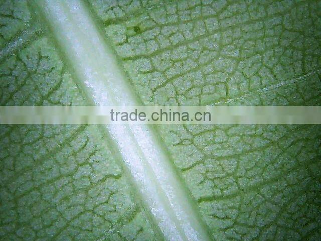 The best digital microscope allow you to bring it anywhere