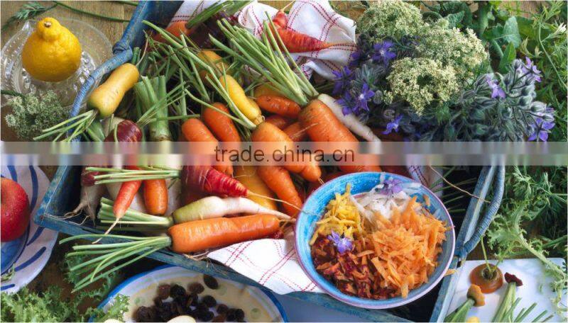 Food dryer with GS & ETL approves